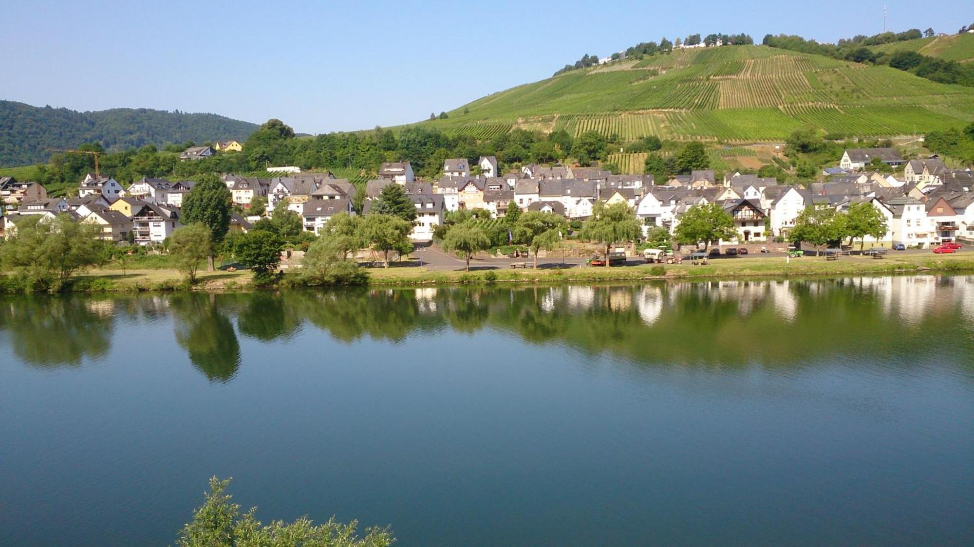 דירות צל אן דר מוזל Mosel View חדר תמונה