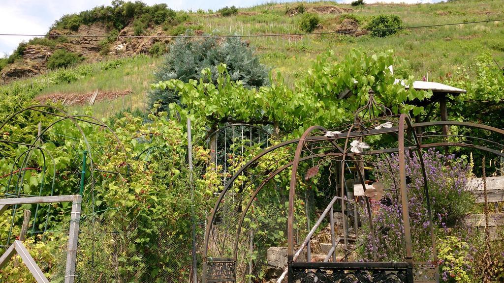 דירות צל אן דר מוזל Mosel View מראה חיצוני תמונה