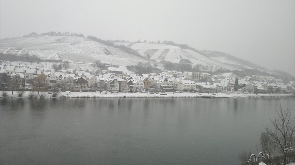 דירות צל אן דר מוזל Mosel View מראה חיצוני תמונה