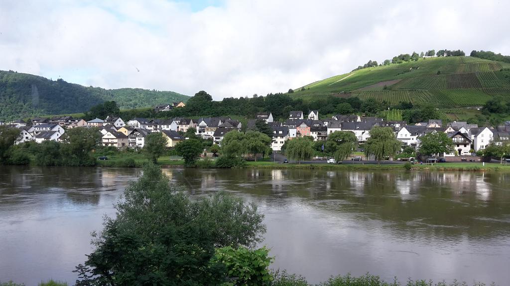 דירות צל אן דר מוזל Mosel View מראה חיצוני תמונה